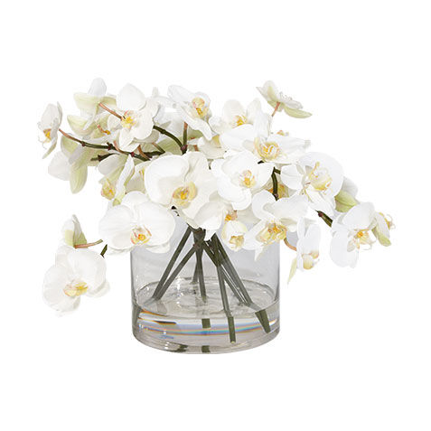 Orchids in Glass Cylinder image