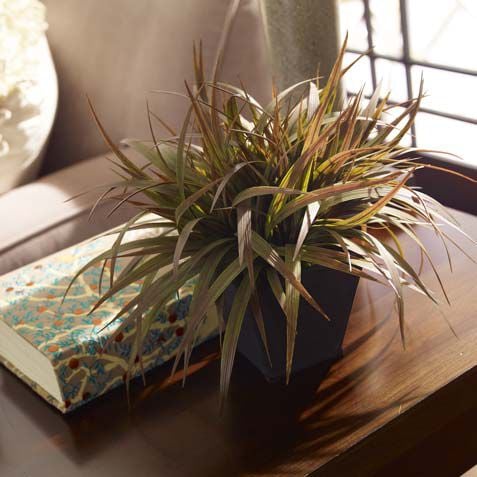 Dark Grass in Metal Container Product Tile Hover Image 444171