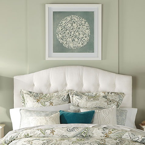 Daisy Dream III Product Tile Hover Image 073224C