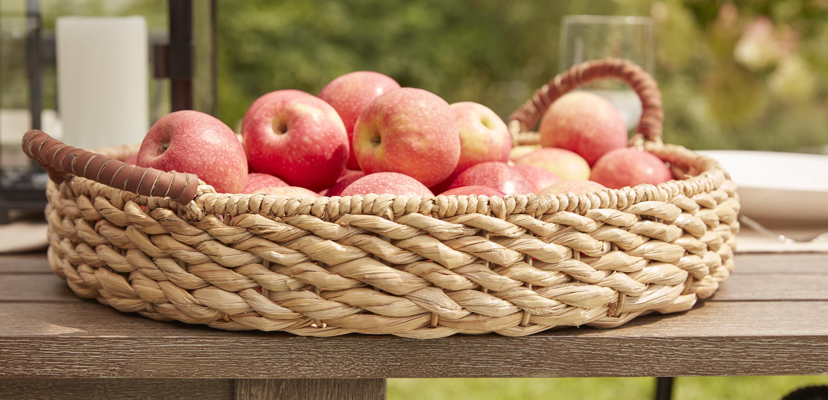 Apina Seagrass Round Tray_3