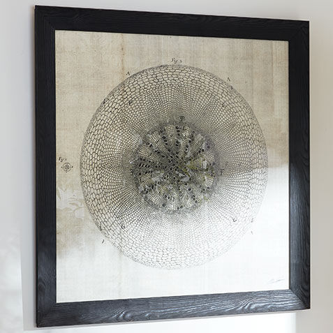 Cross Cut II Product Tile Hover Image 073748B