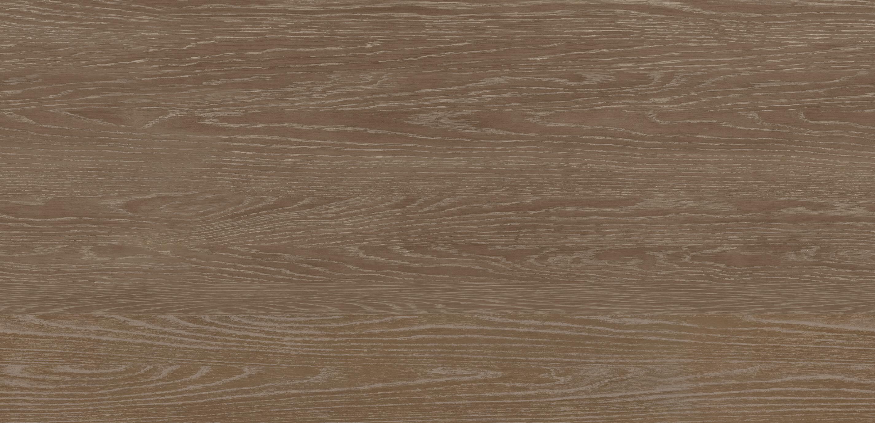 Porcini (343) Finish Sample