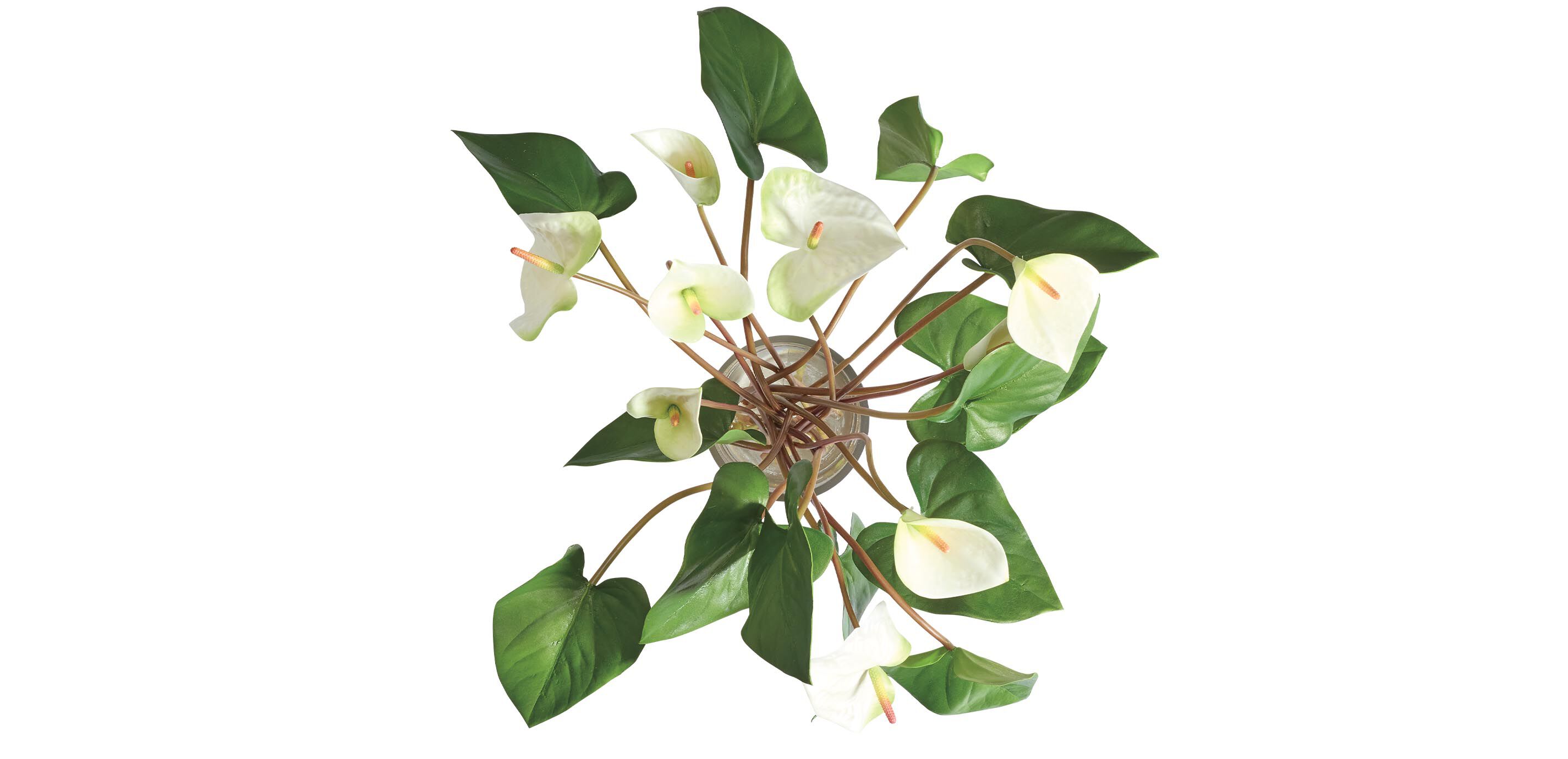 Tropical Anthurium Bouquet in Glass Vase_3