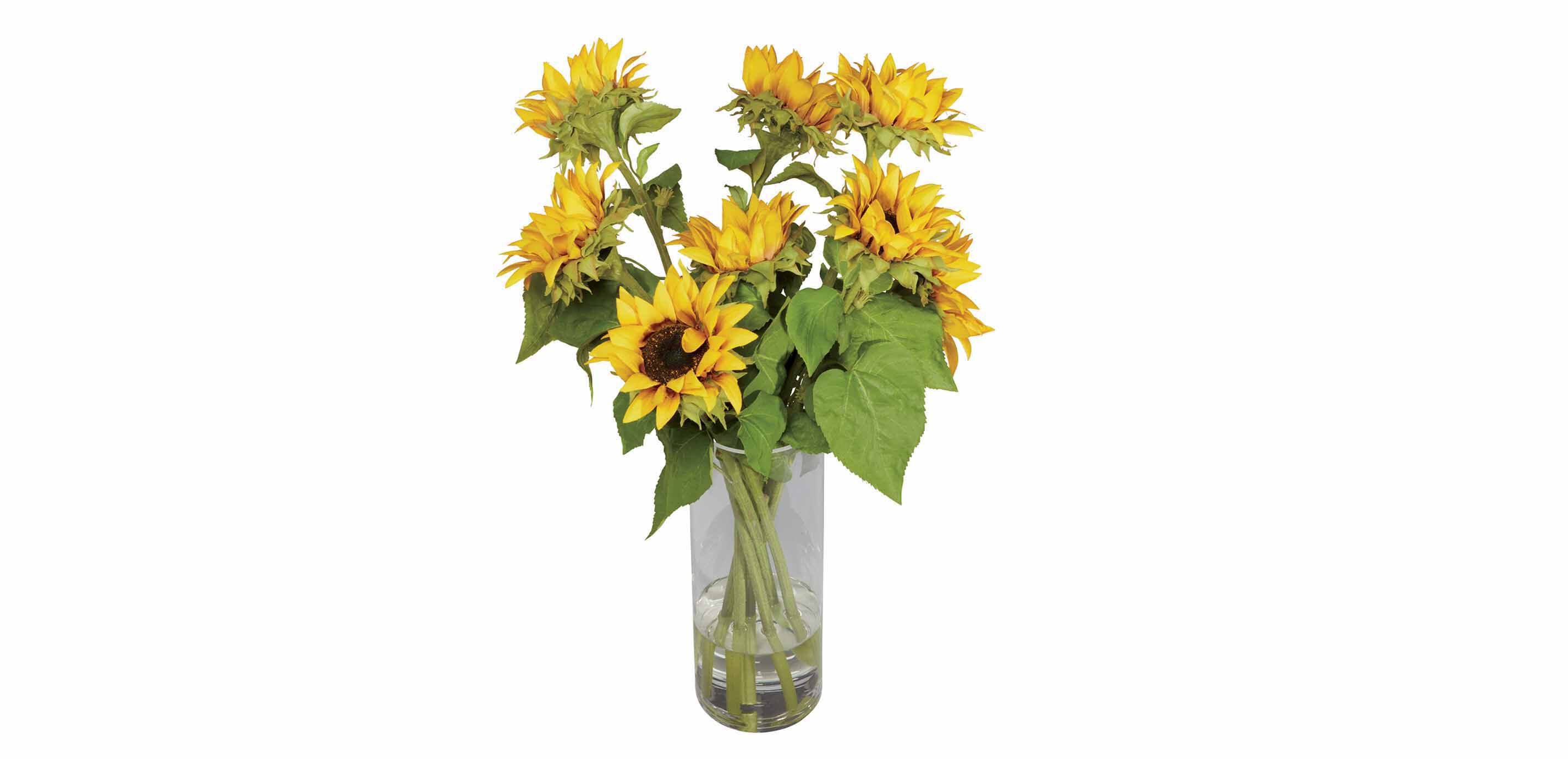 Sunflowers in Tall Vase_1
