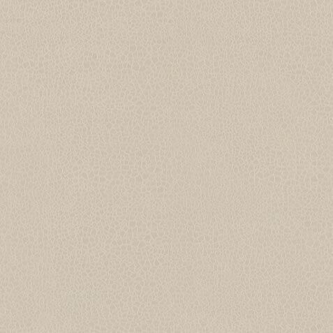 Action Fabric image P37