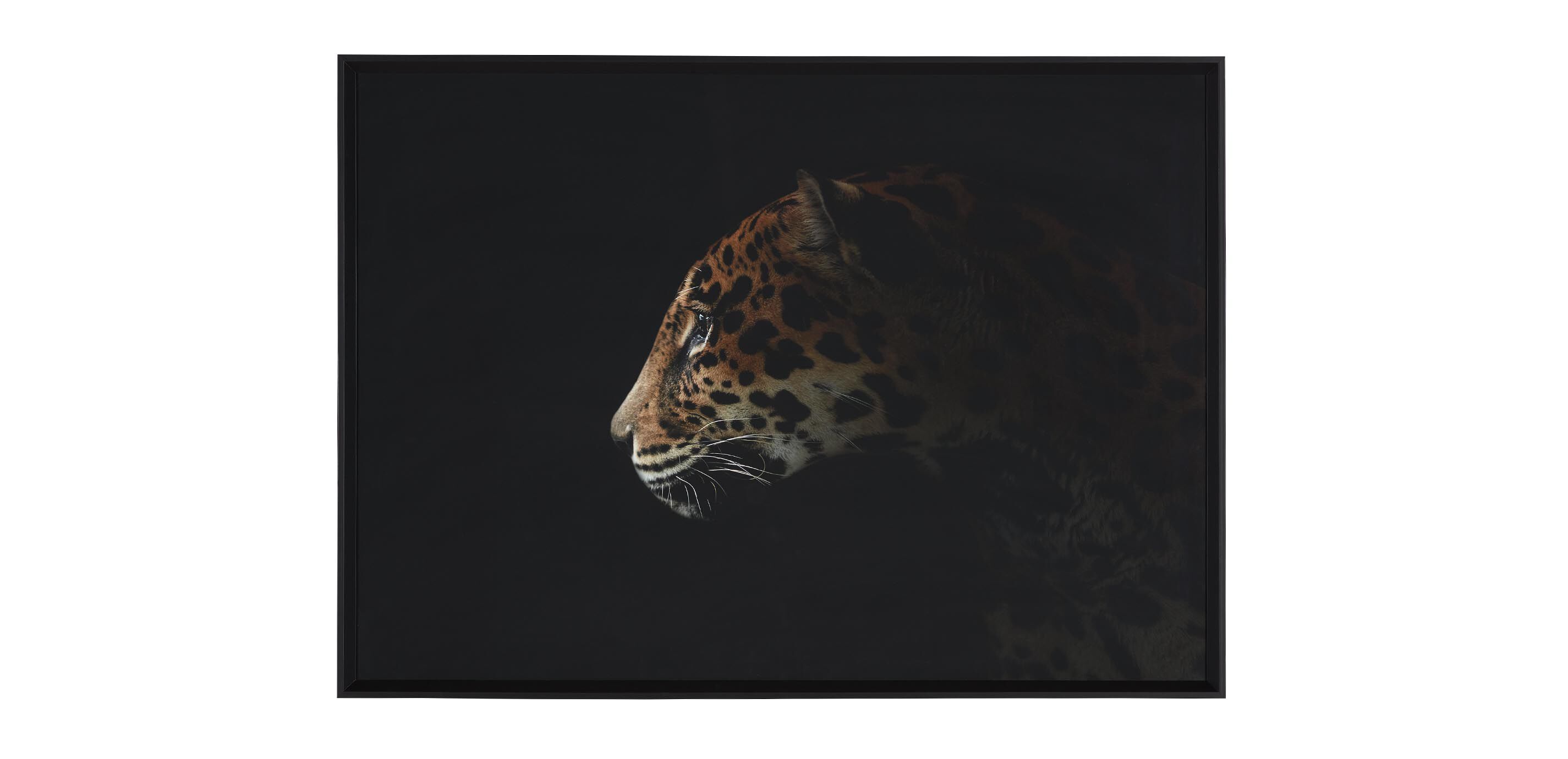 Strayed into Shadow III