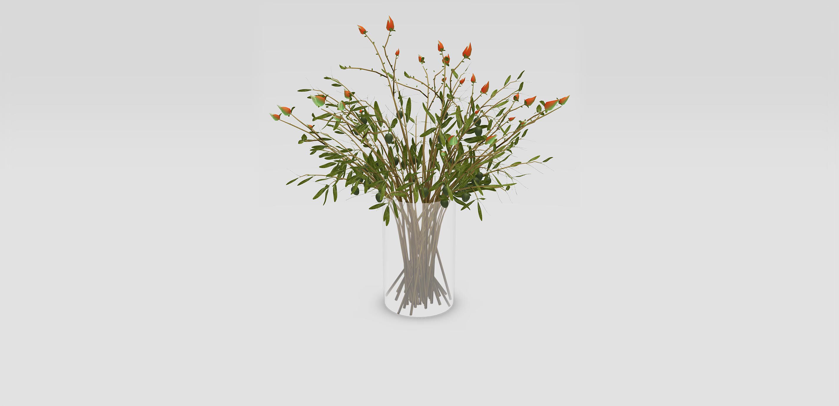 Olive Leaf and Magnolia Bud Mix 1