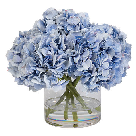 Hydrangea Water Garden image