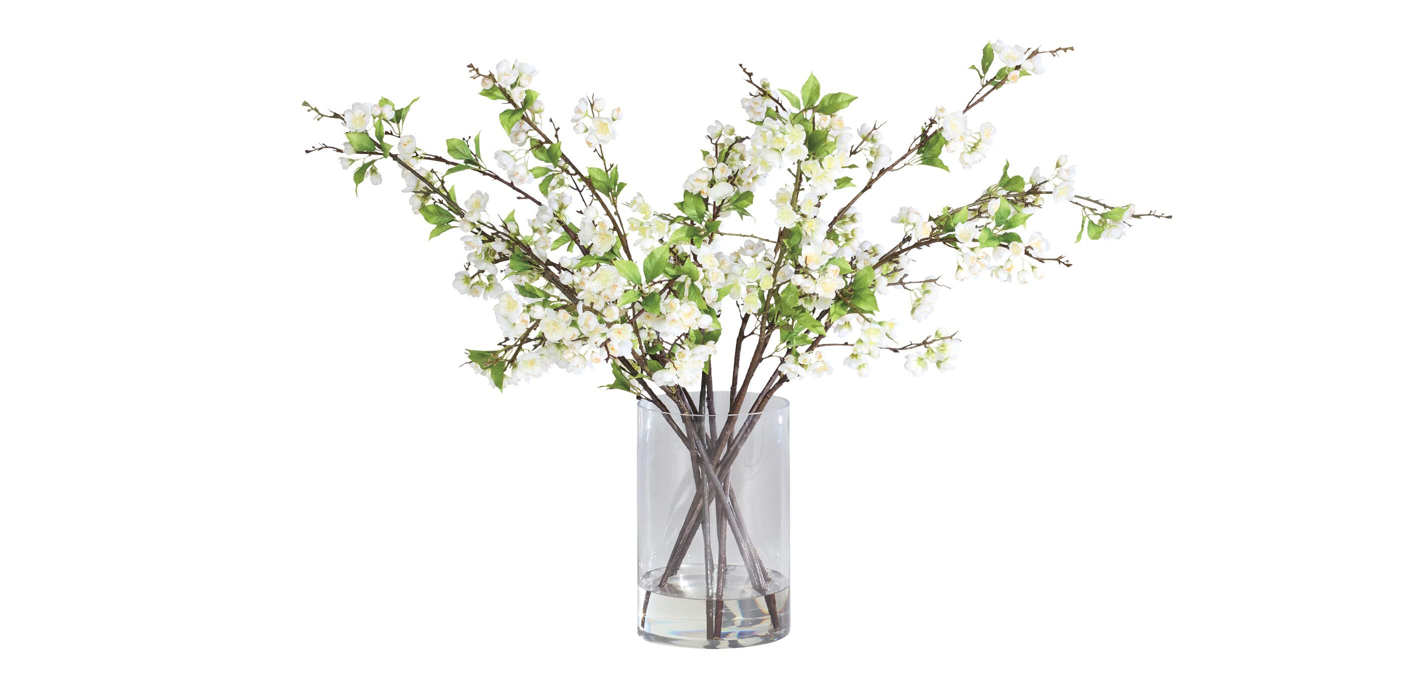 White Plum Blossom Arrangement in Tall Vase_1