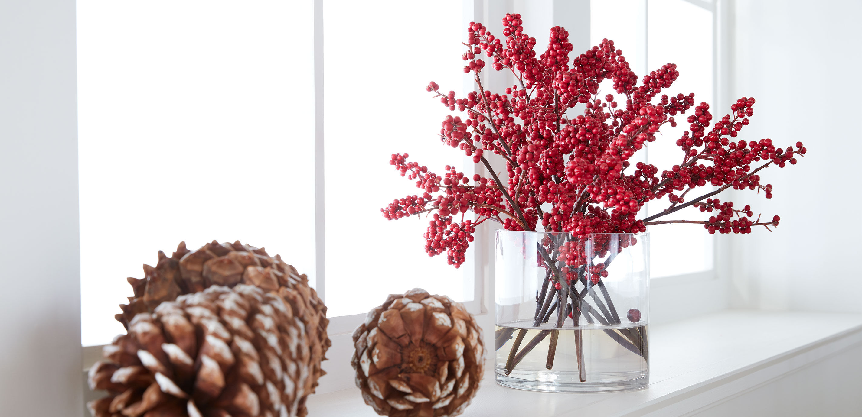 Winterberry Watergarden_1