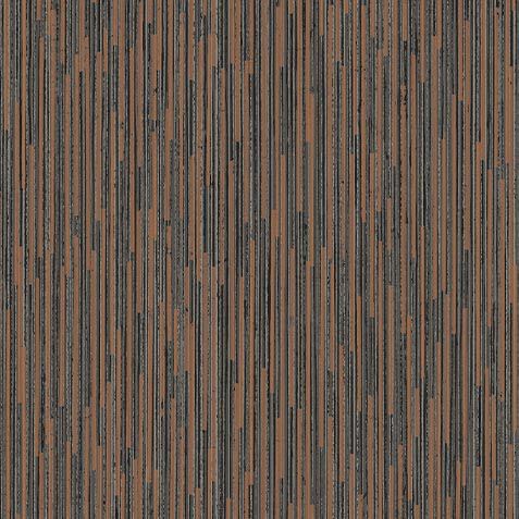 Shane Wallpaper image