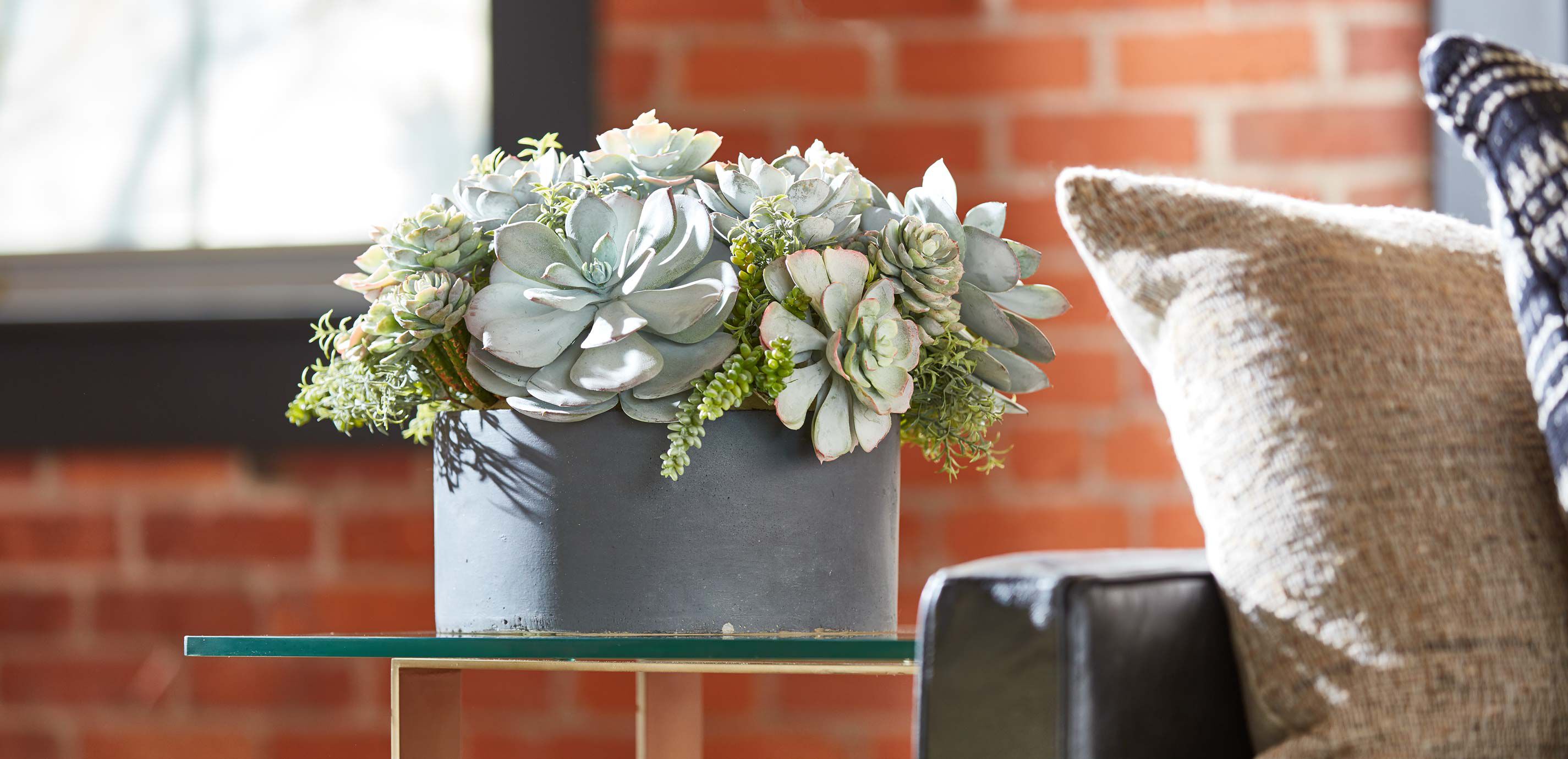 Mixed Succulents in Round Tray_3