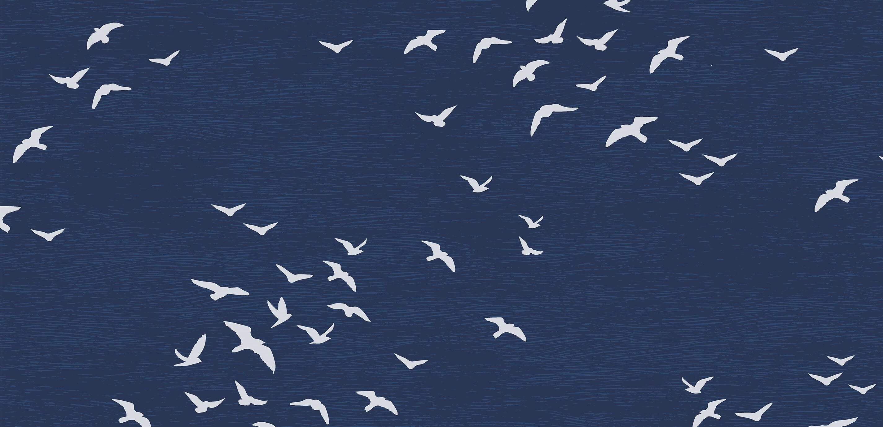 Bird Silhouettes Wallpaper