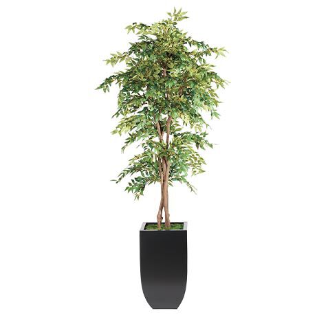 Smilax Tree in Metal Container image 443811   GRN