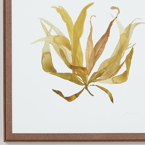 Soft Seaweed Product Tile Hover Image 073261D