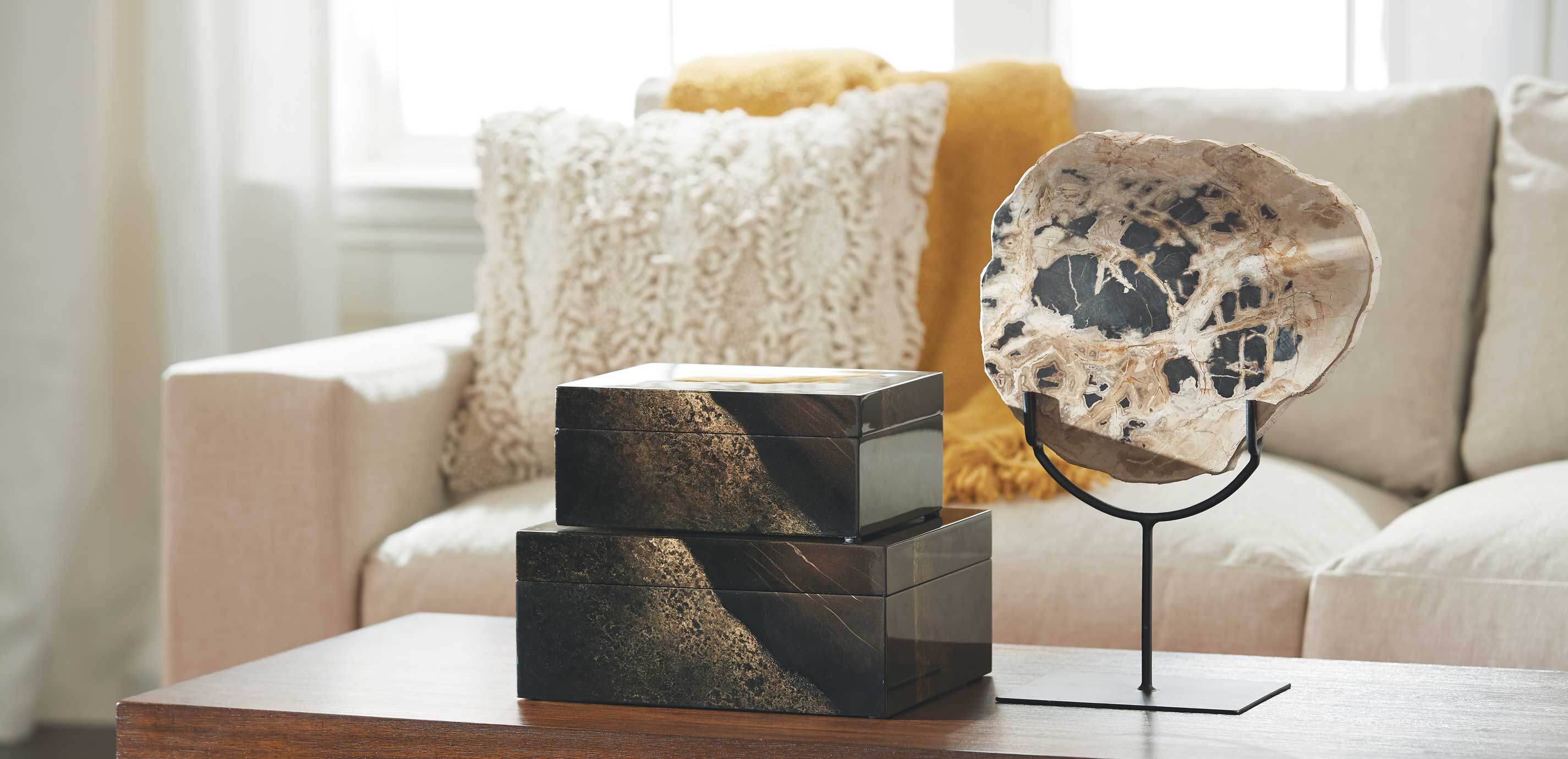 Petrified Wood on Stand_6