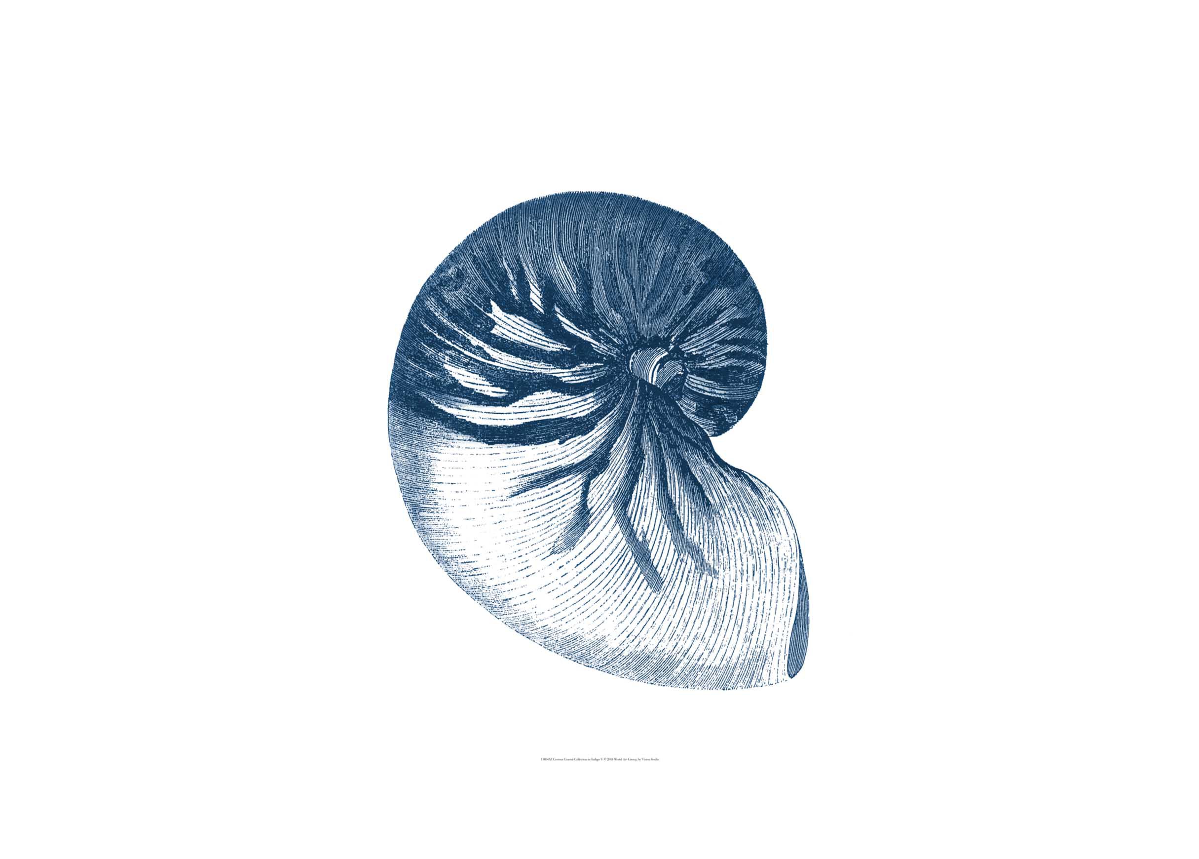 Coastal Collection In Indigo V