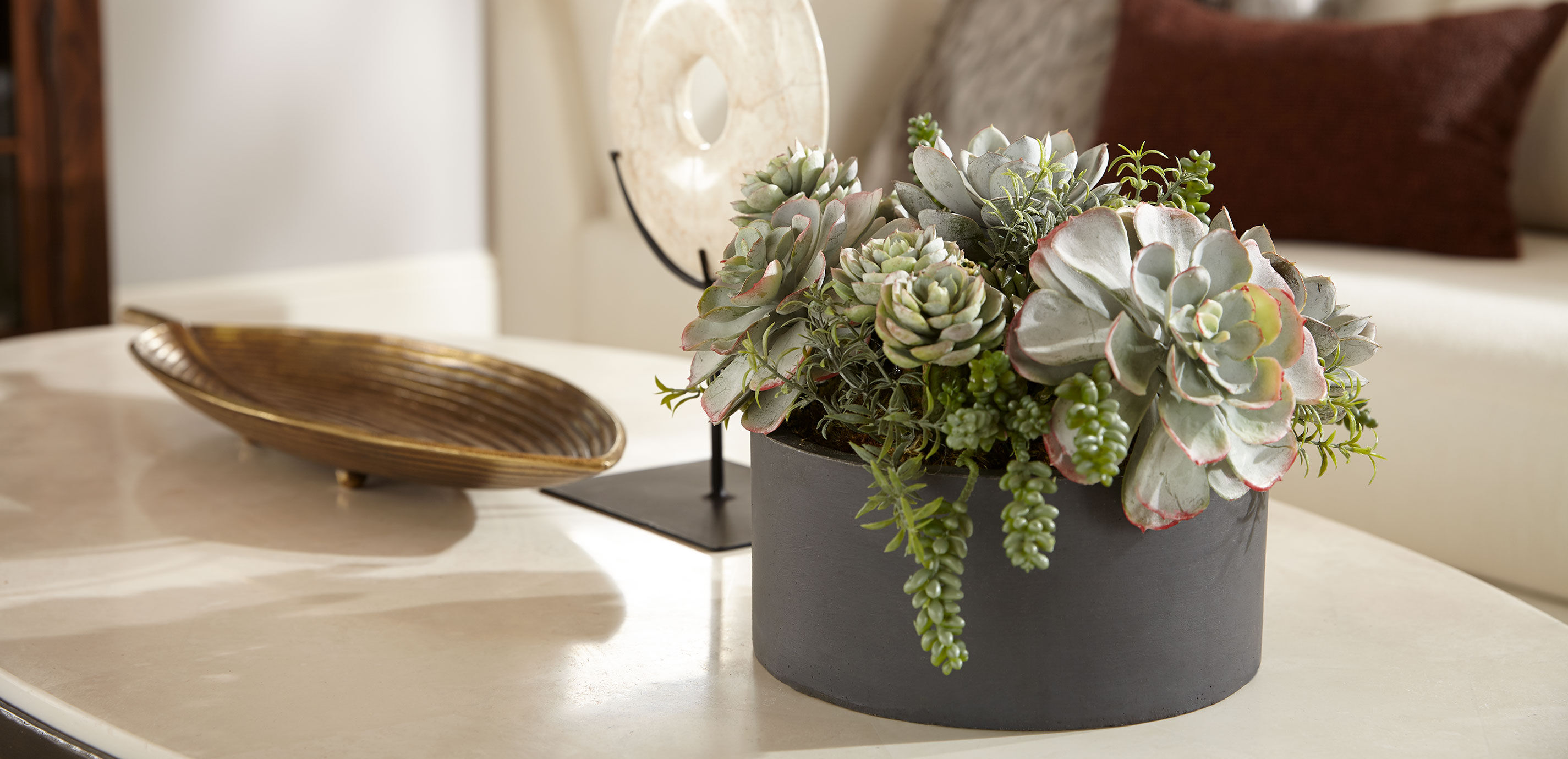 Mixed Succulents in Round Tray_2