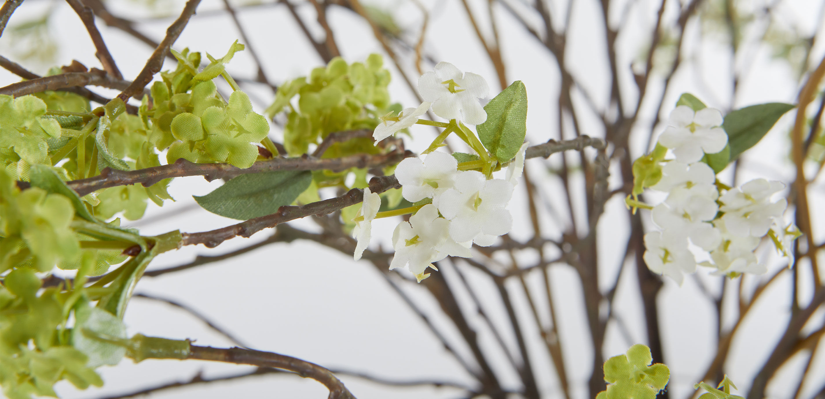 Spirea Branch Arrangement in Tall Vase_4