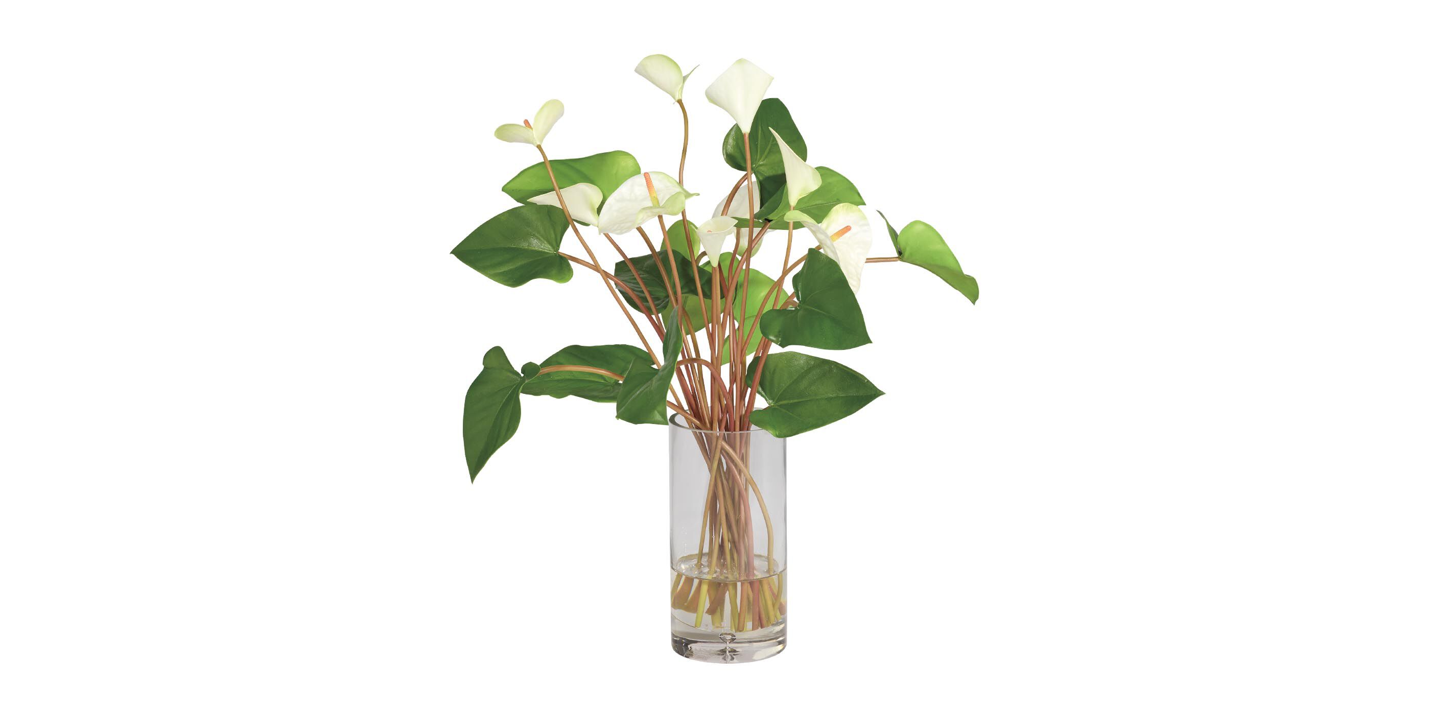 Tropical Anthurium Bouquet in Glass Vase