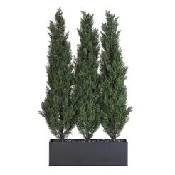 Indoor-Outdoor Cedar Trees Recommended Product