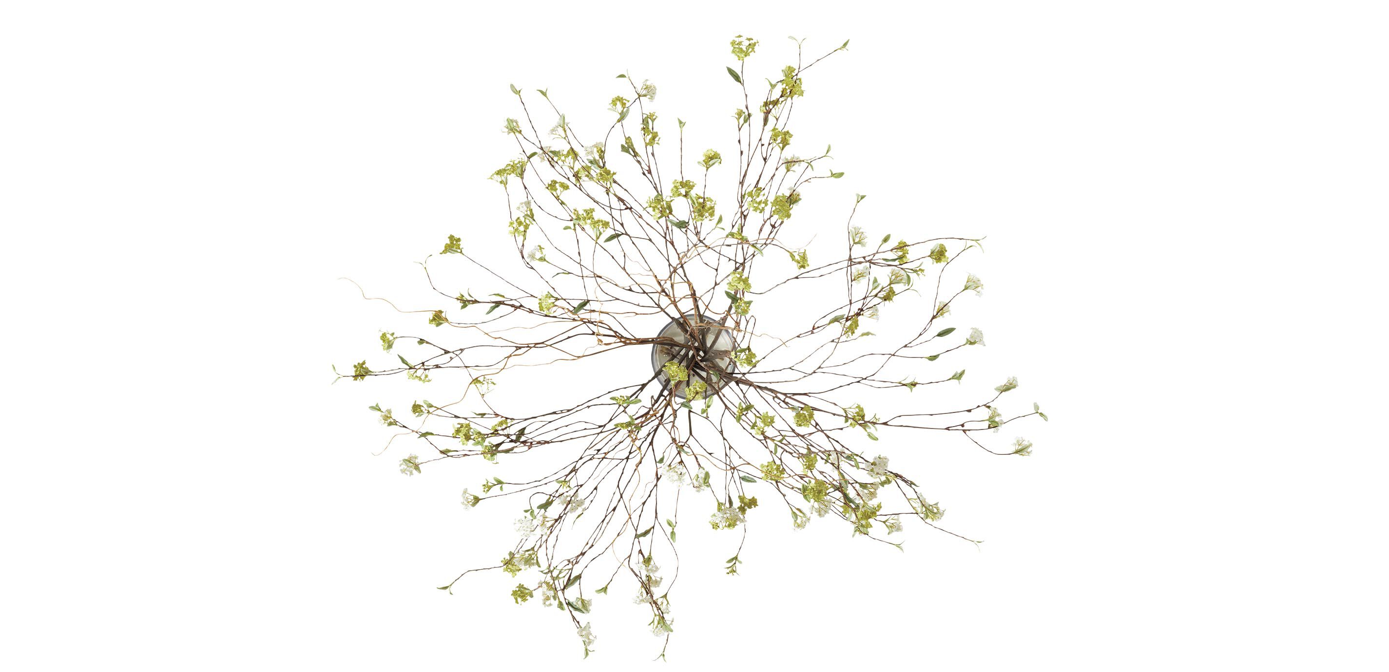 Spirea Branch Arrangement in Tall Vase_2