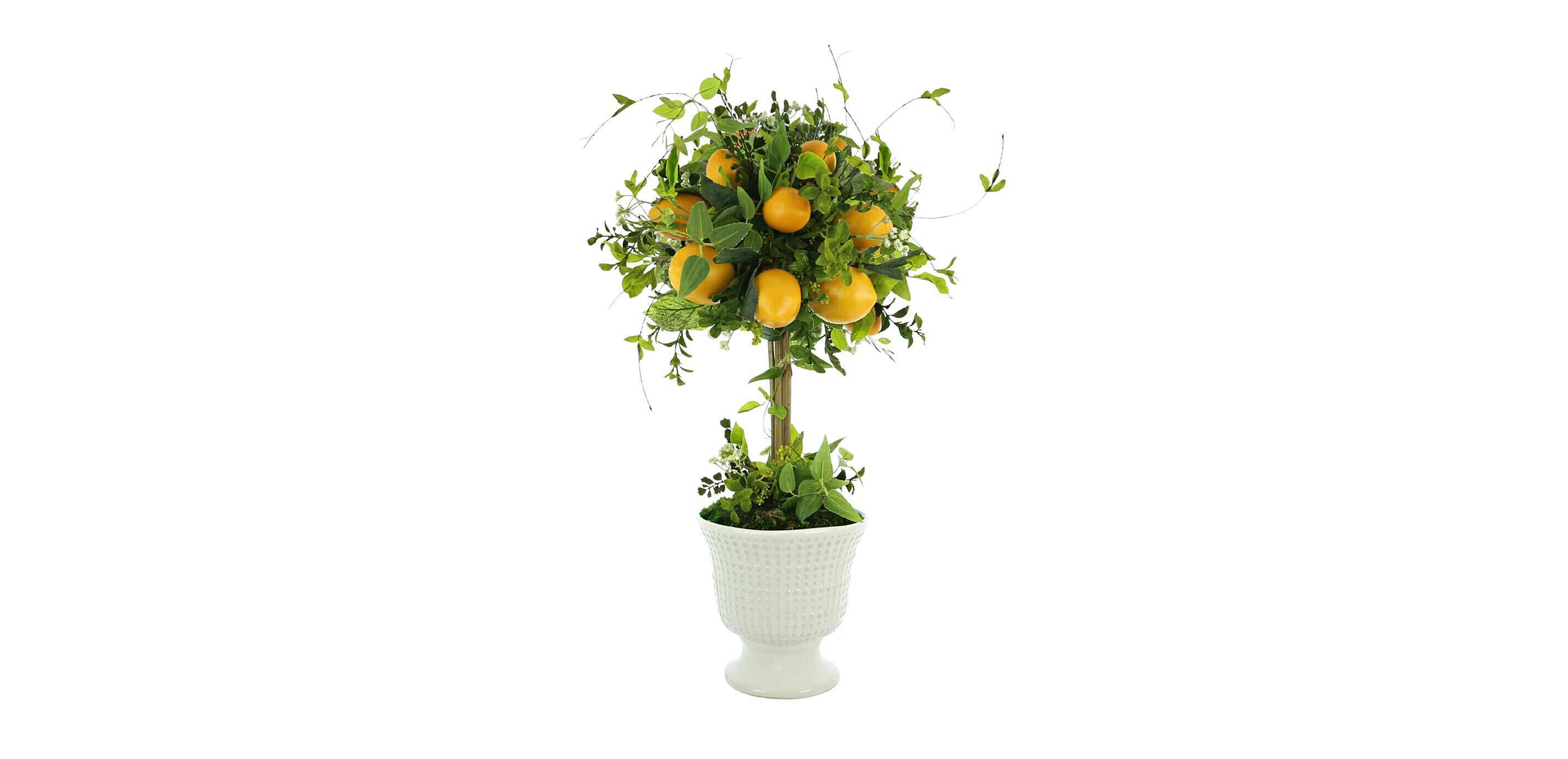 Lemon Topiary in Ceramic Vase