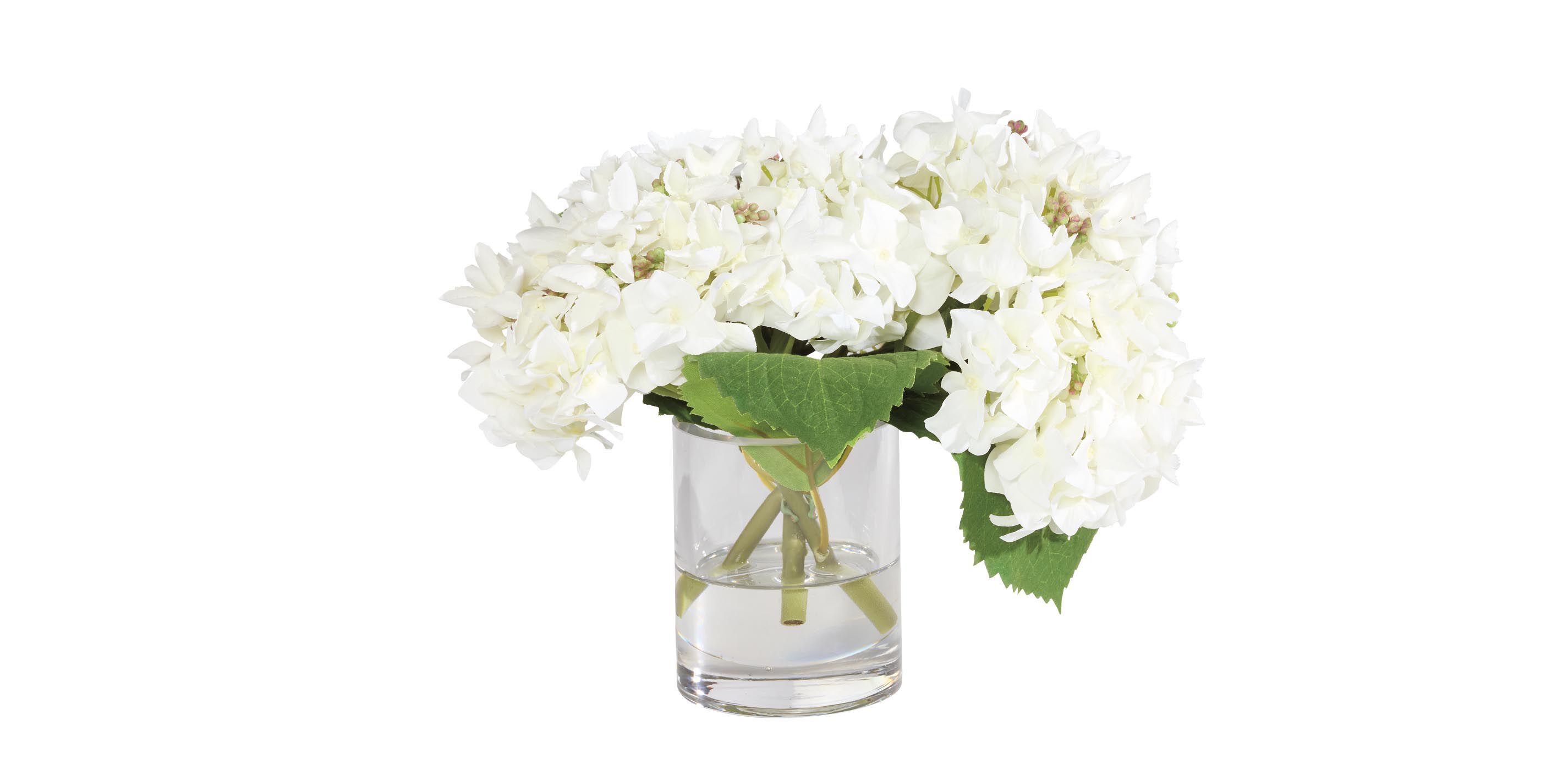 Hydrangea and Buds in Small Glass Vase_1