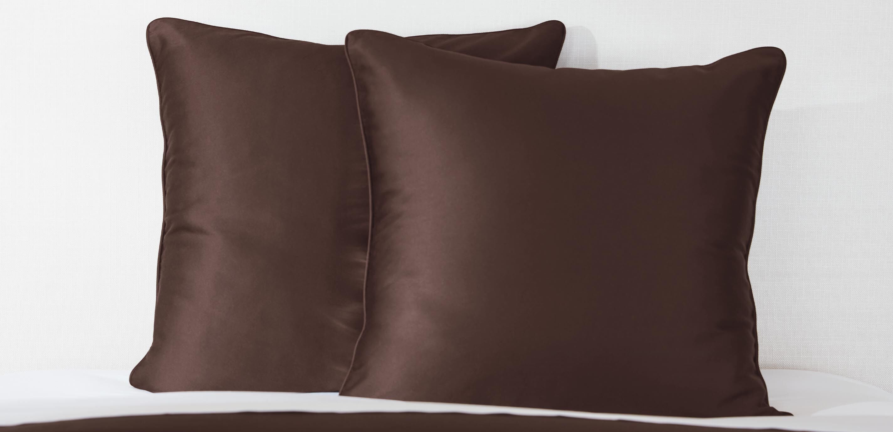 Salena Solid Euro Sham, Espresso