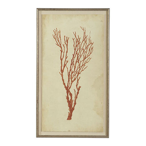 Framed Coastal Art | Framed Coastal Wall Décor | Ethan Allen
