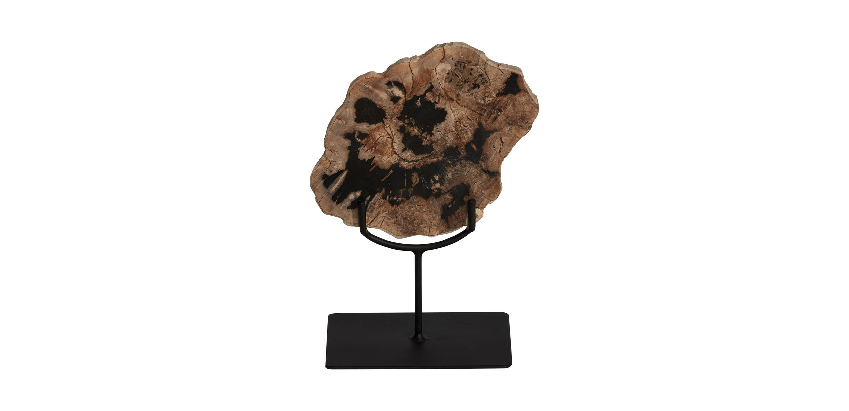 Petrified Wood on Stand_3