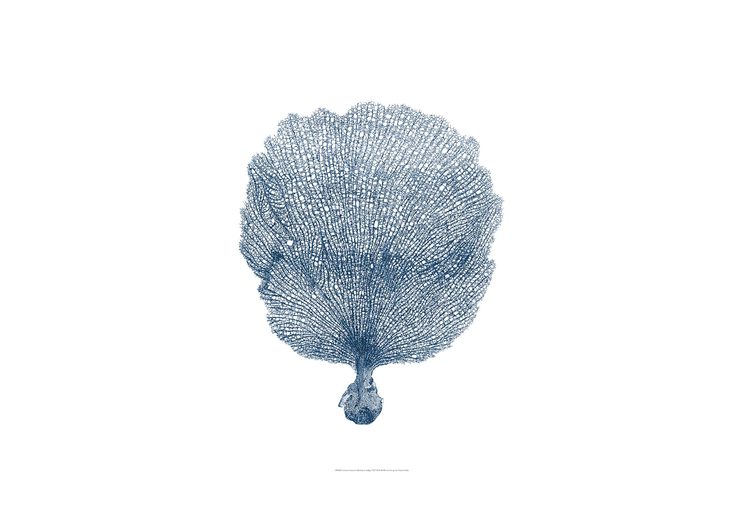 Coastal Collection In Indigo VI