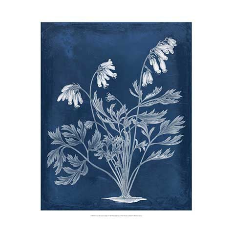 Botanical In Indigo I image