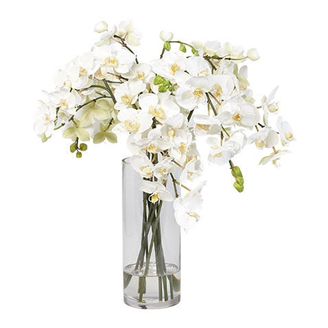 Orchids in Tall Glass Vase image
