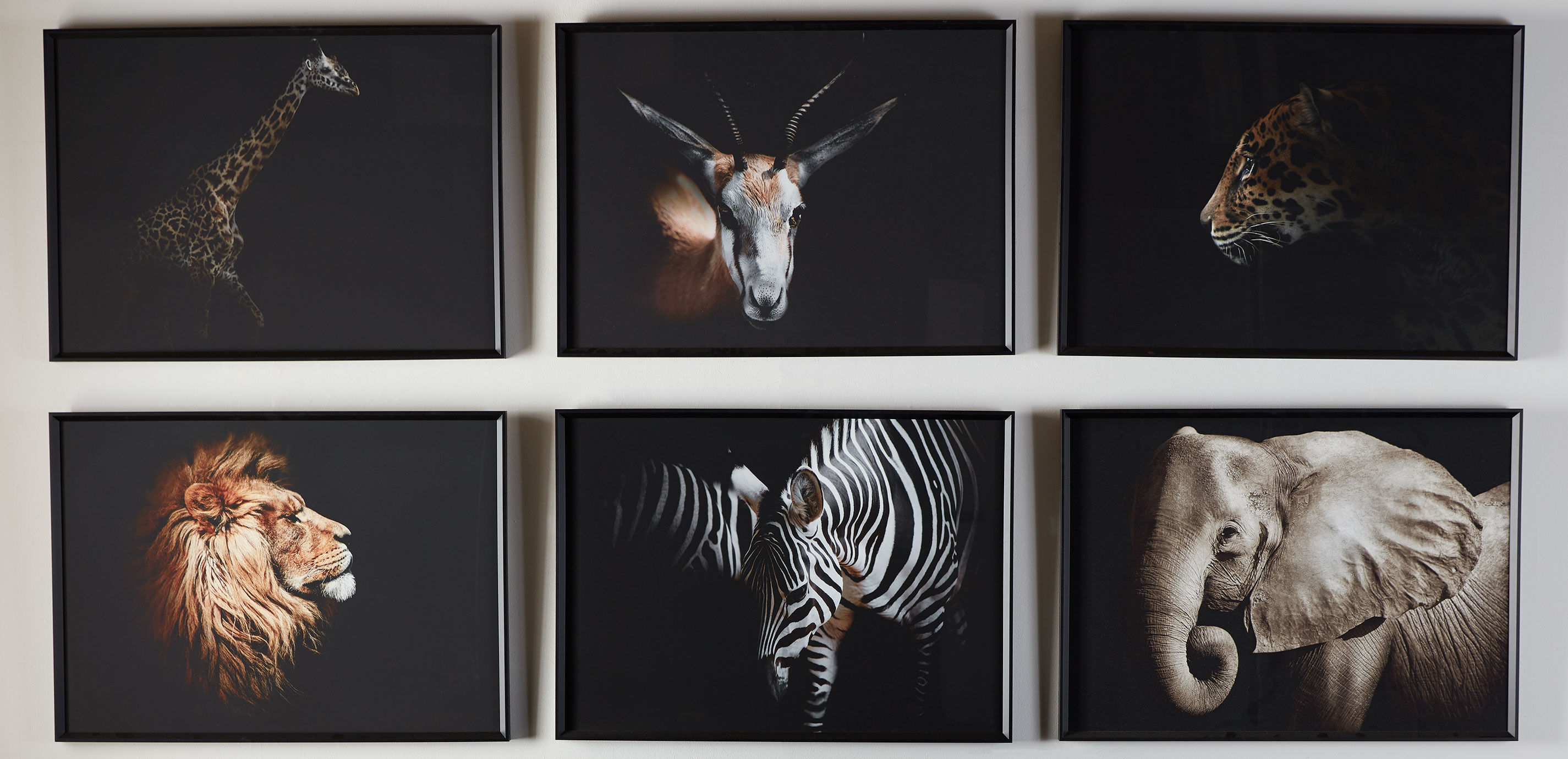 Strayed into Shadow III_3