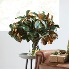 Magnolia Leaves Watergarden Product Tile Hover Image 446630