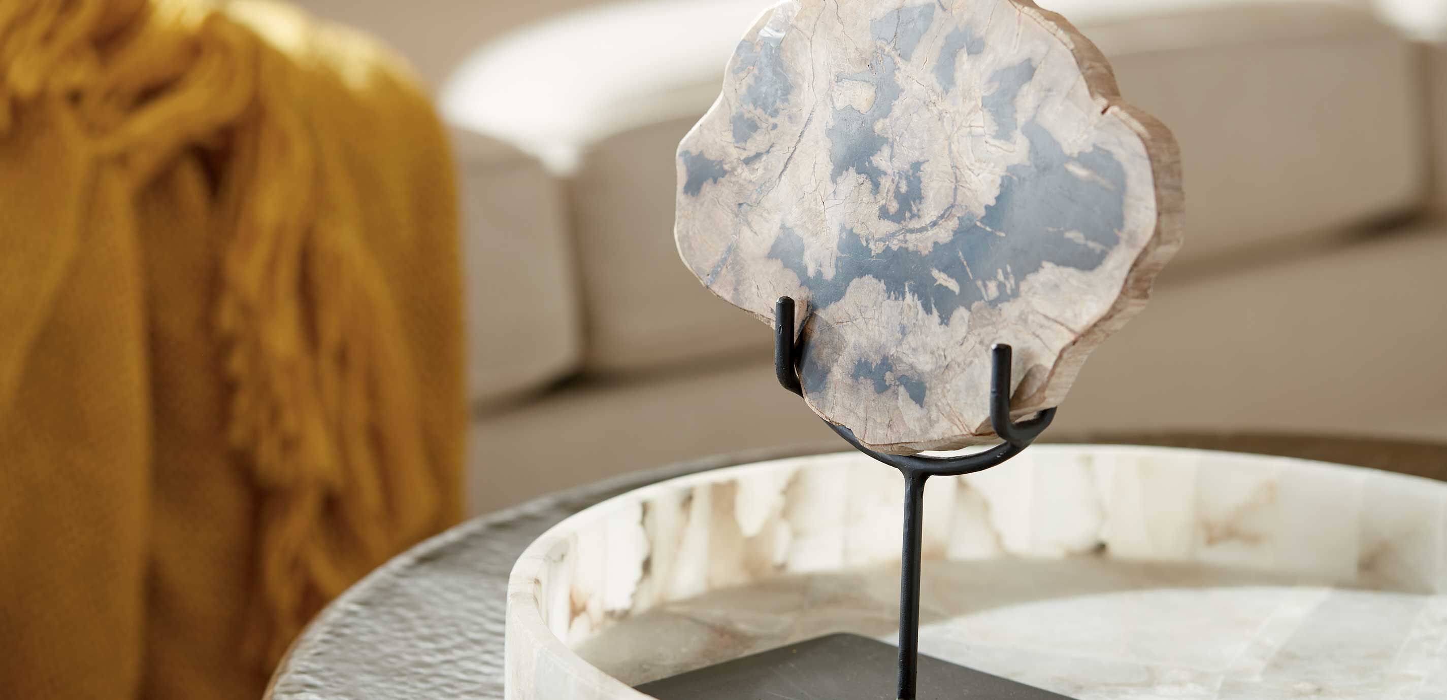 Petrified Wood on Stand_6