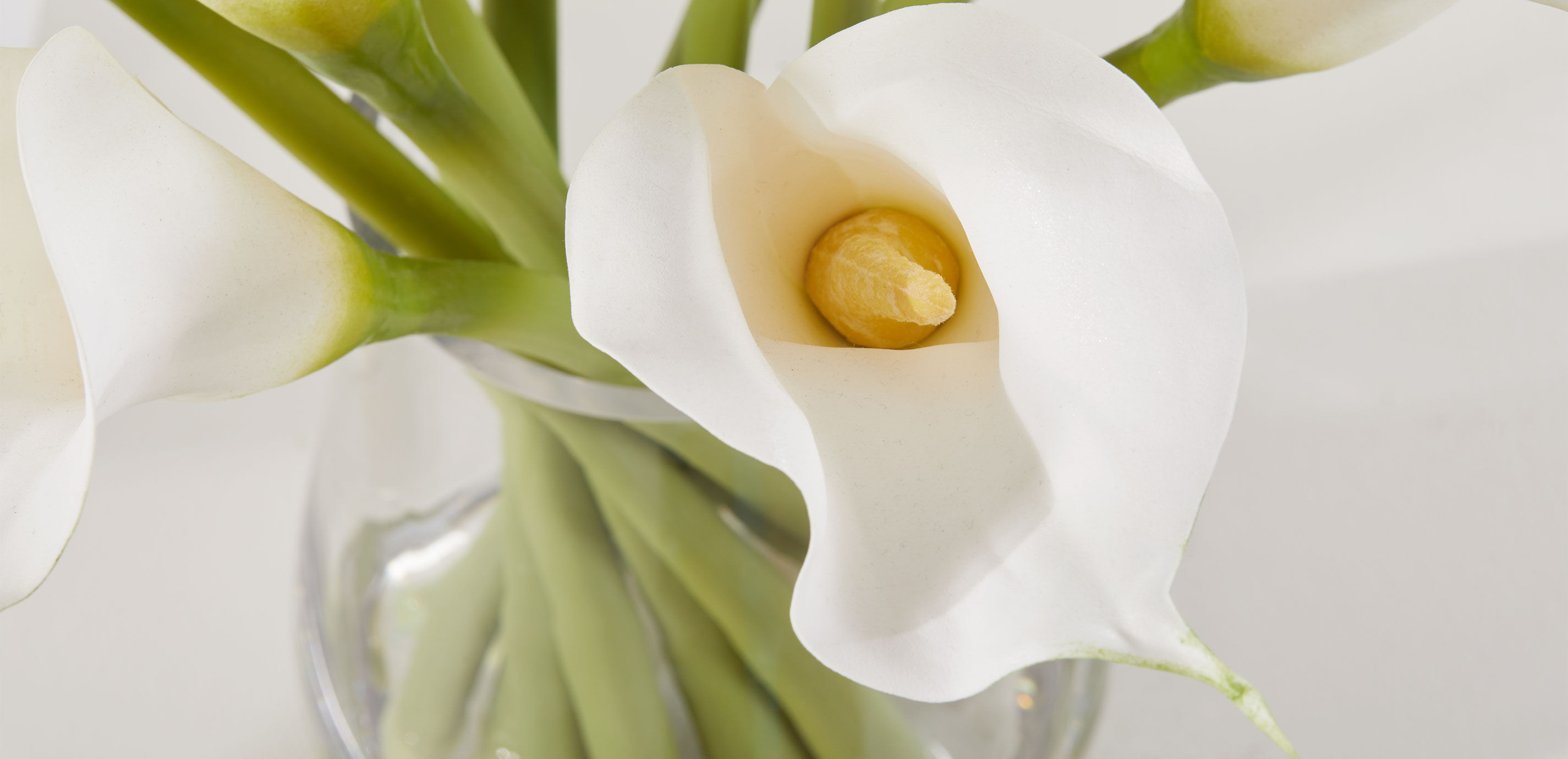 Calla Lily Bouquet in Tapered Glass Vase_4