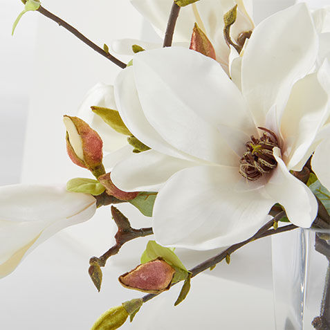 Magnolia Centerpiece in Linear Glass Vase Product Tile Hover Image 443787   WHT