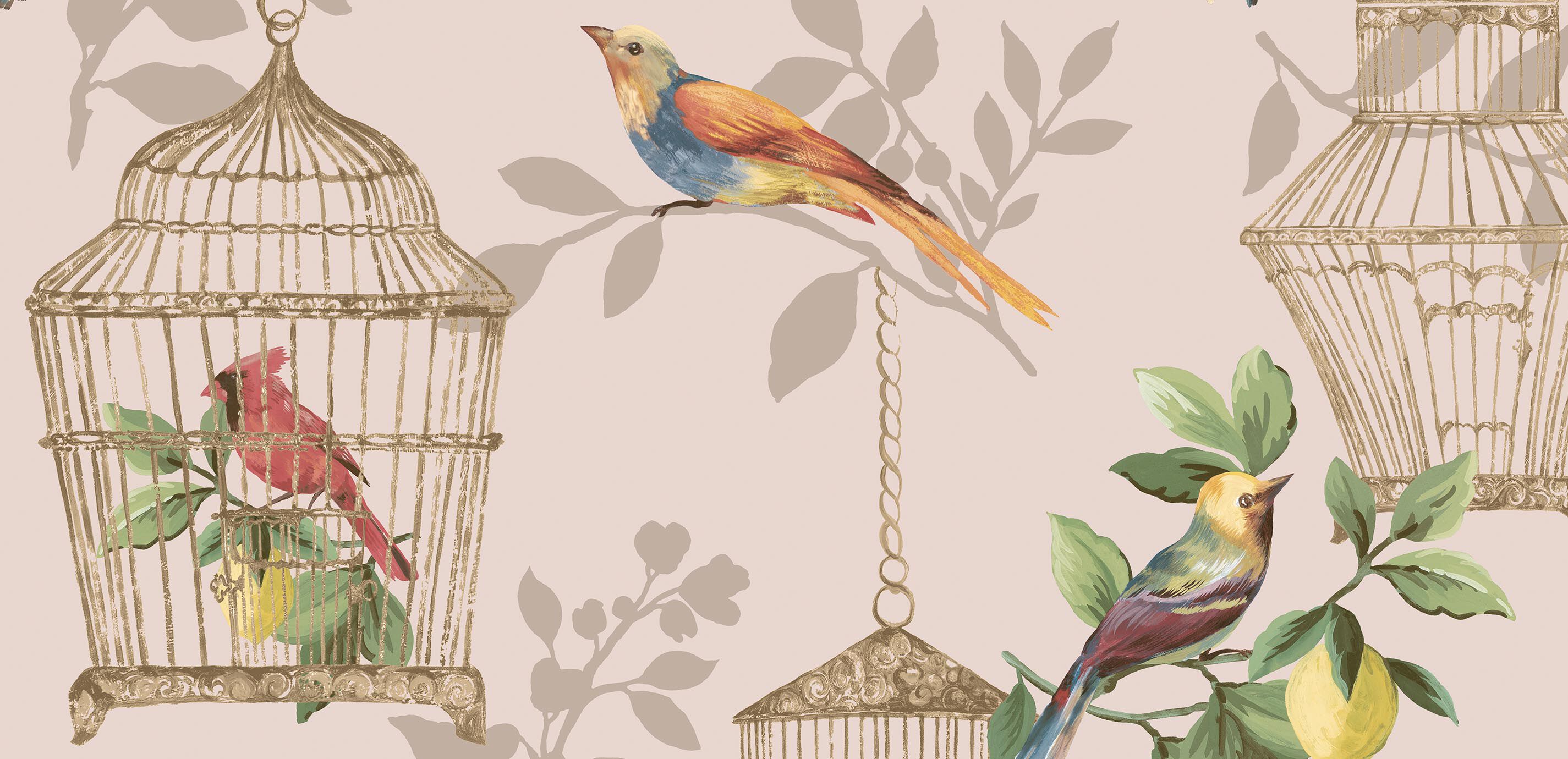 Birdcage Wallpaper