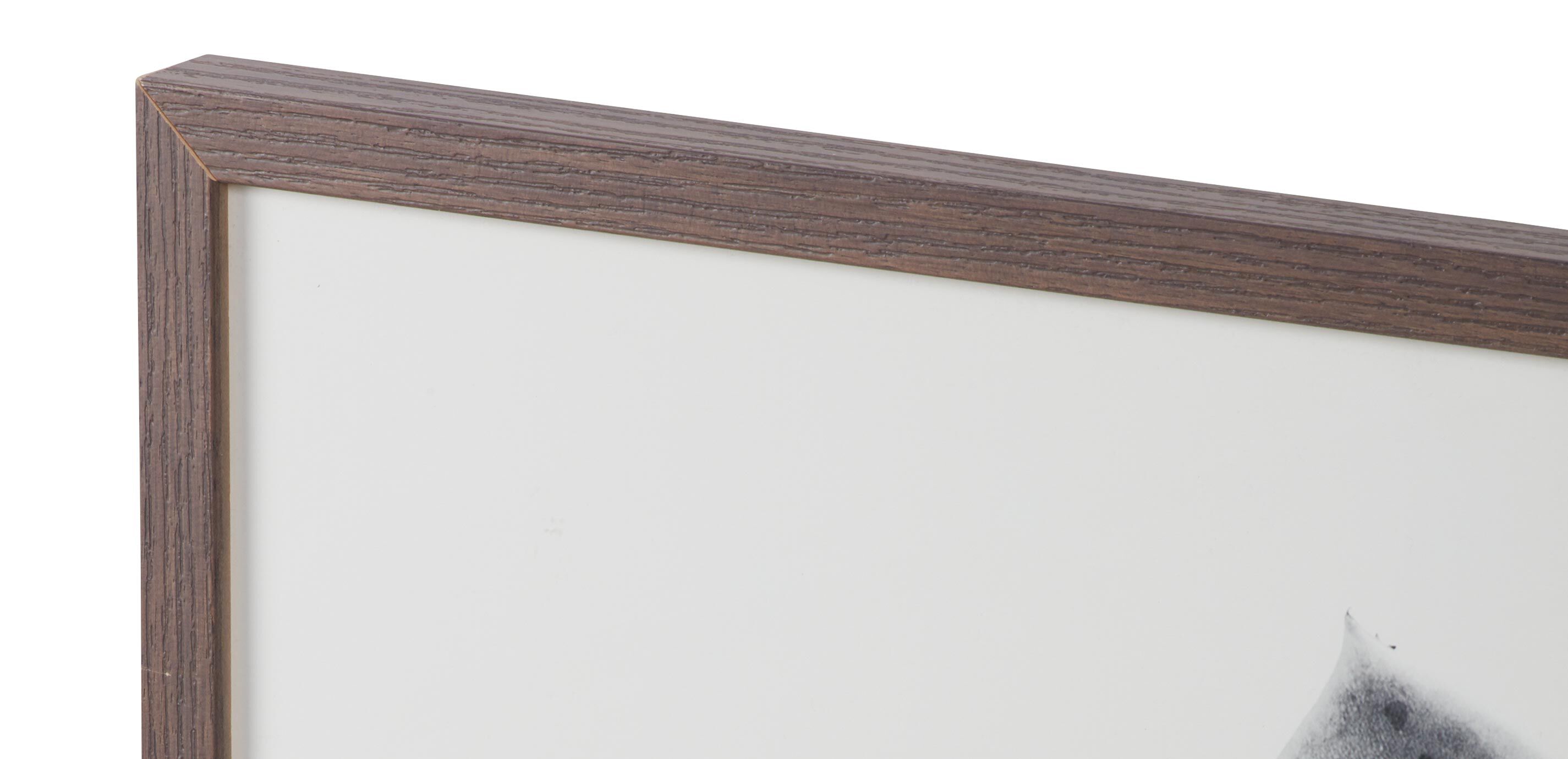 Succulent Study II_1