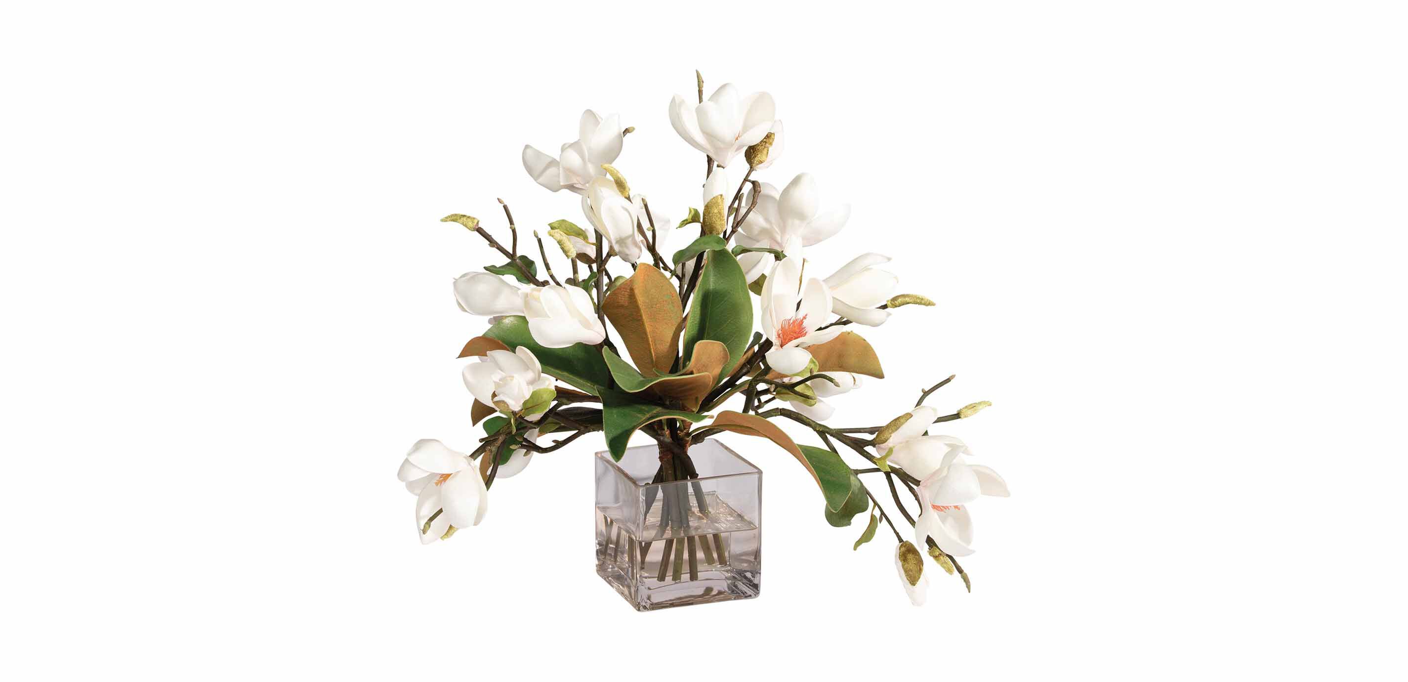 Magnolia Foliage Watergarden in Glass Cube_2