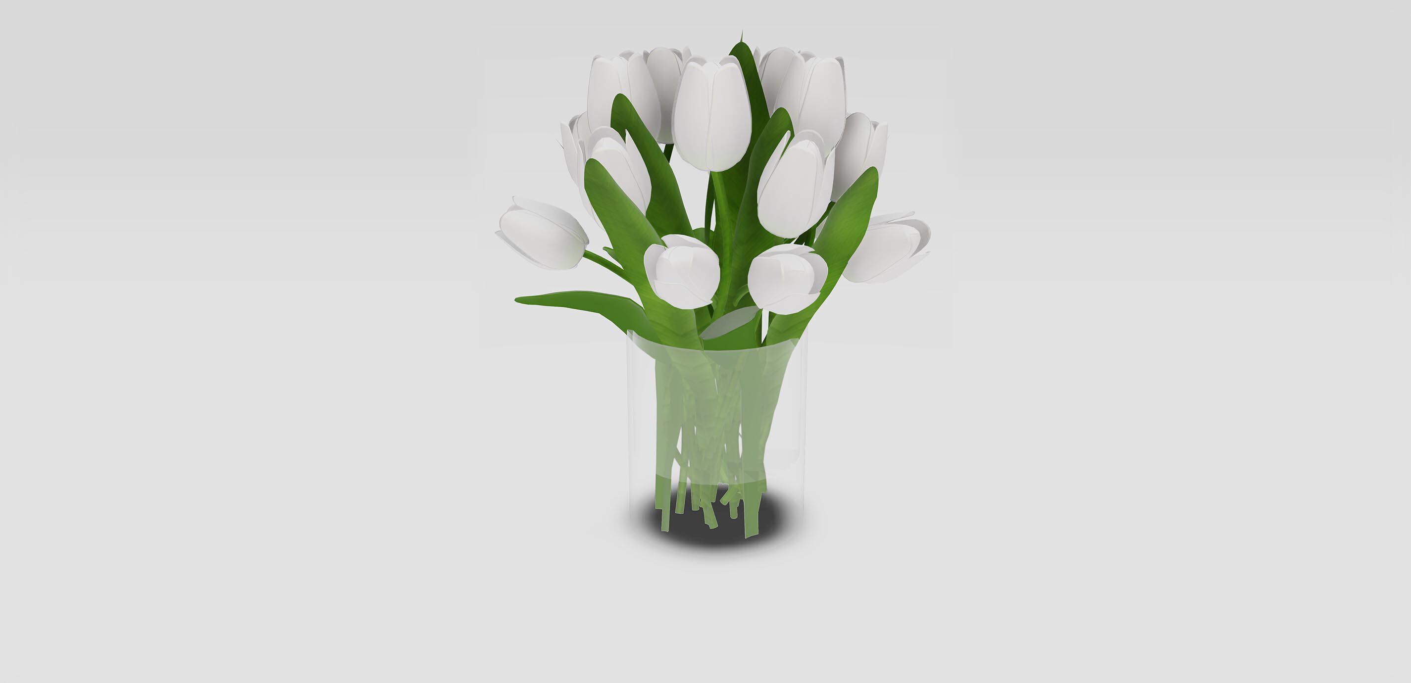 White Tulip Watergarden 1