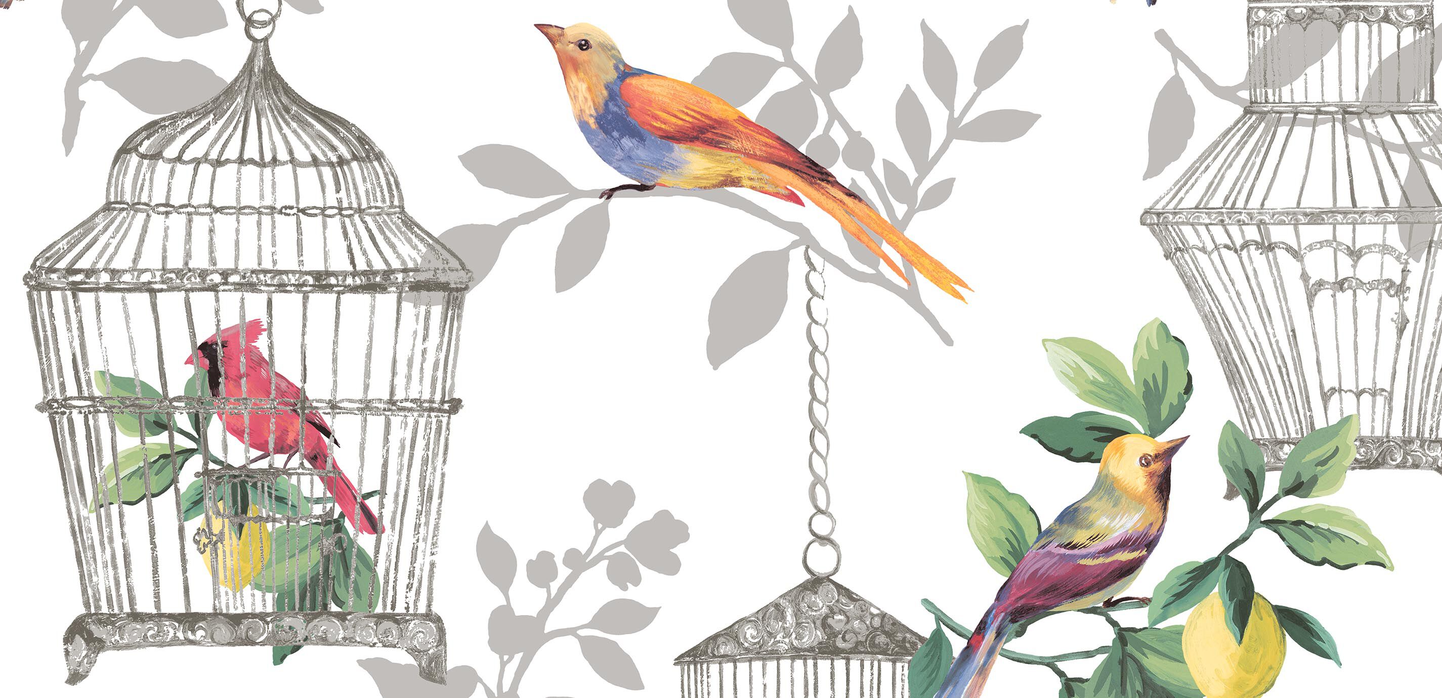 Birdcage Wallpaper