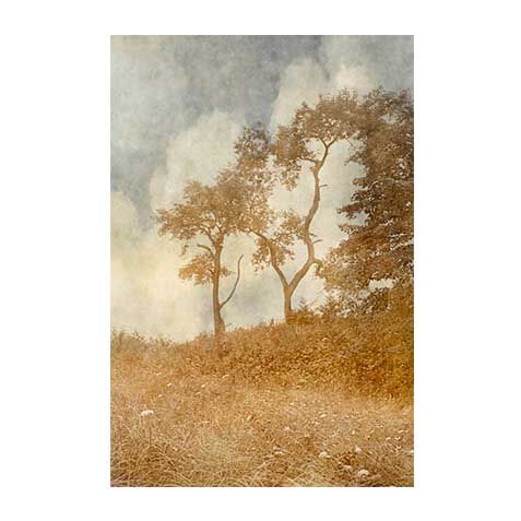 Along the Shore II image