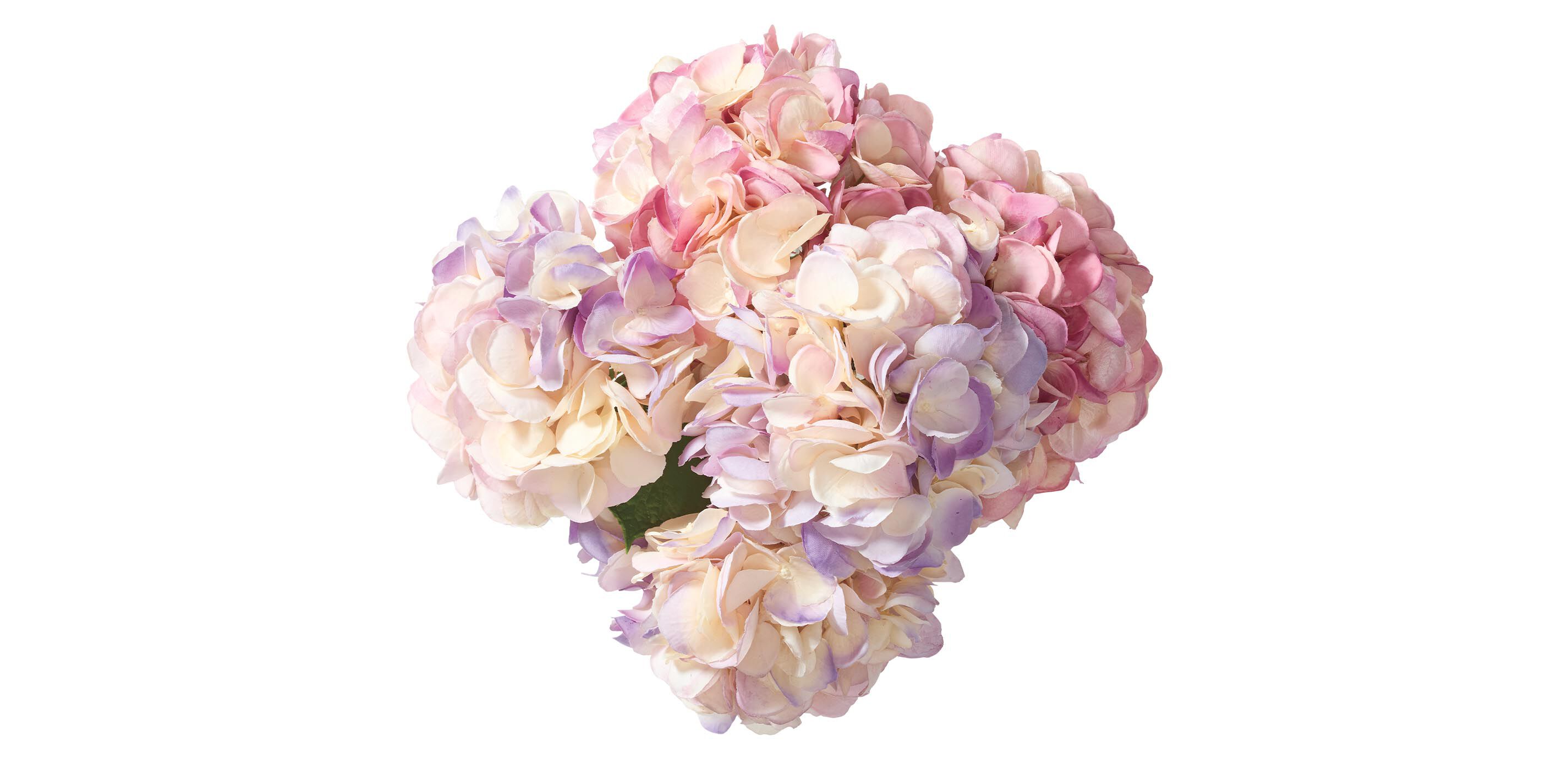 Hydrangea Bouquet in Cut-Glass Vase_3