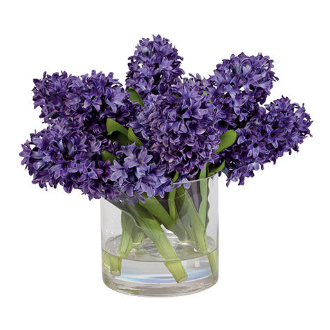 Hyacinth Watergarden image