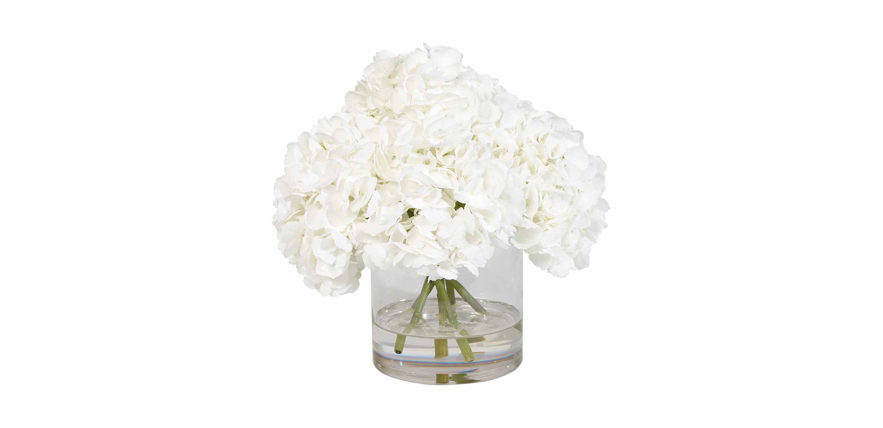 White Hydrangea Watergarden