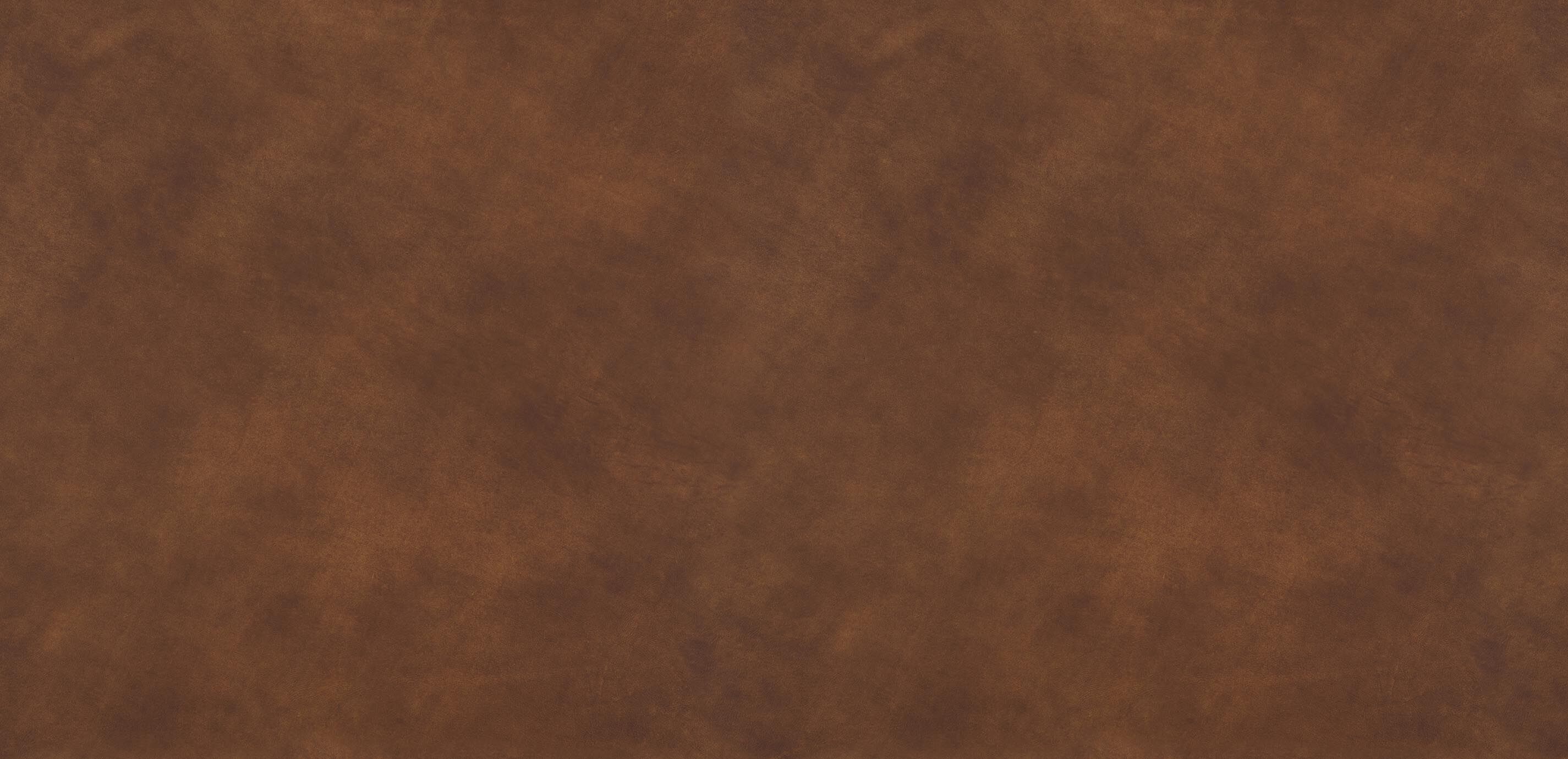 Rodeo Saddle Leather