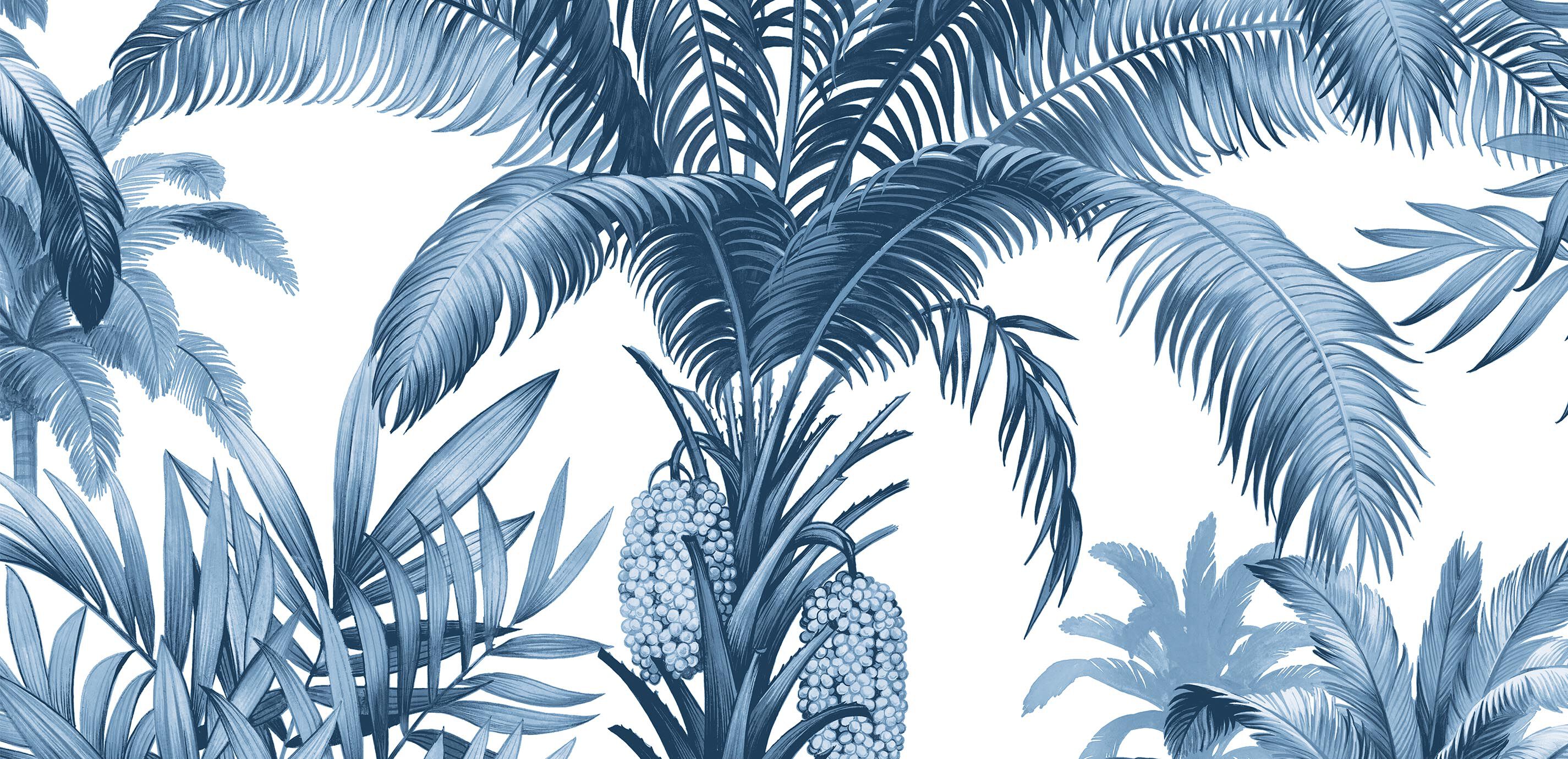 Tropical Palms Wallpaper